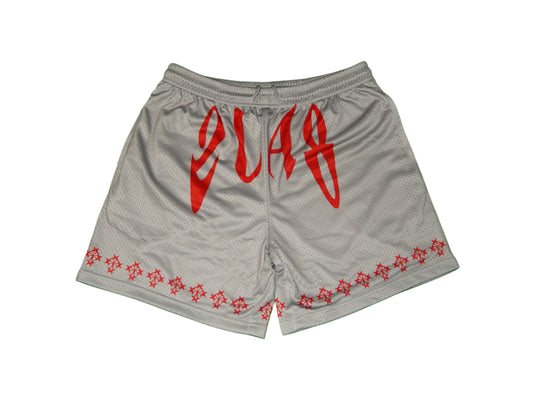 2LA8 Basketball Shorts
